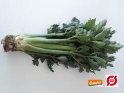 Bladselleri
