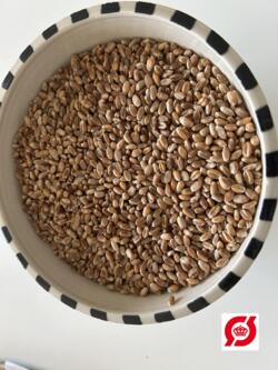 Mariagertobahvede, 1 kg korn