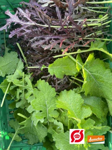 Asiatiske pluksalater, 100 g