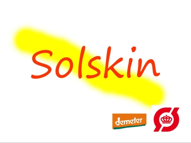 Pose til Løgsuppe