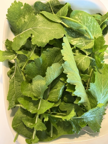 Grønne blade og skud, 100 g