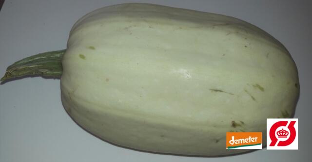 Spaghetti squash