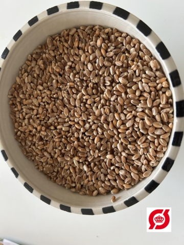 Mariagertobahvede, 1 kg korn