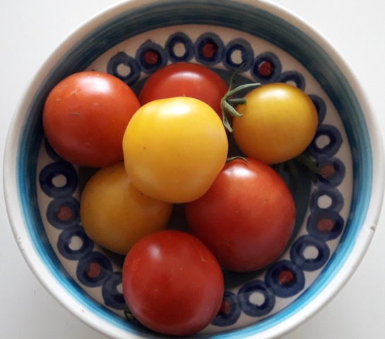 Tomater fra drivhus, 500 g