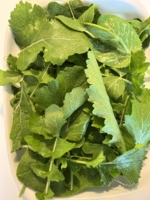 Grønne blade og skud, 100 g
