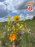 Blomsterbuket, der kan spises