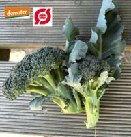 Broccoli: Hoveder og sideskud